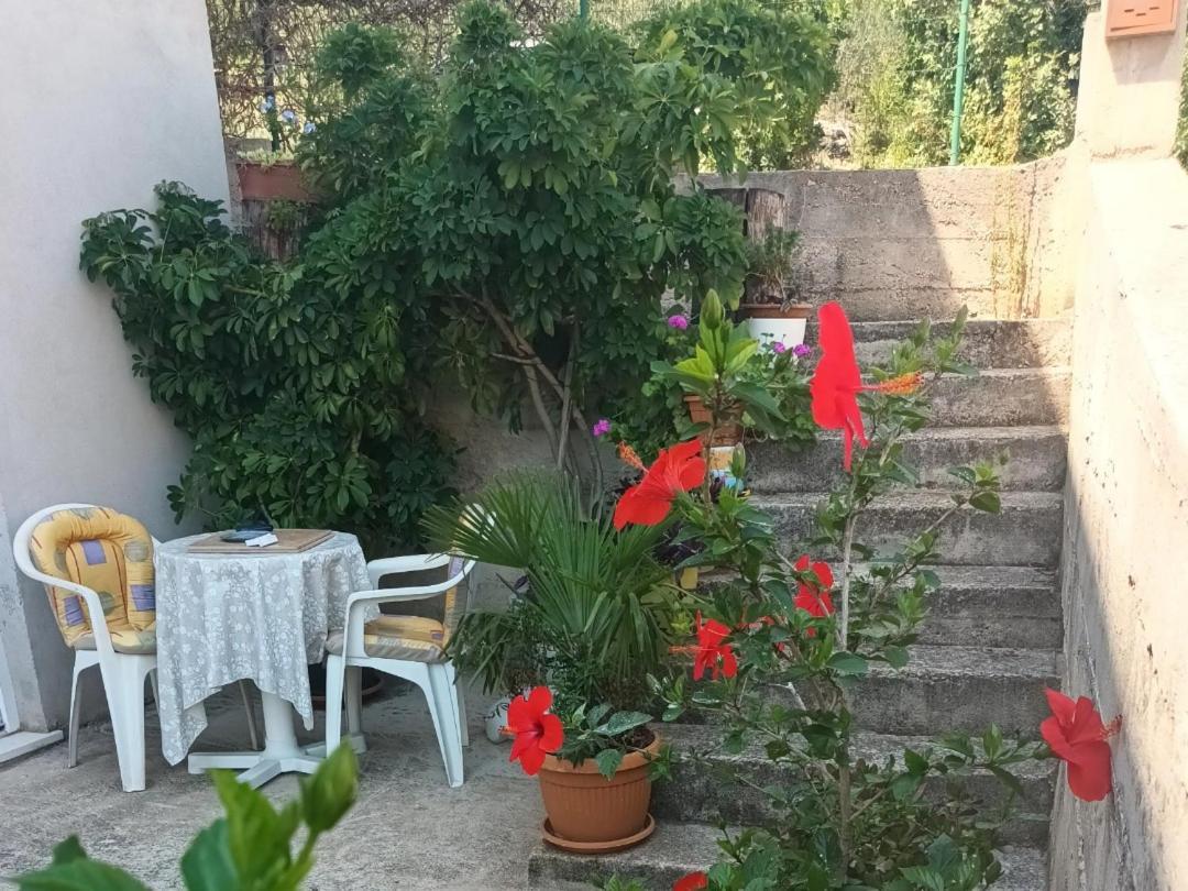 Flash Apartment Sibenik Bagian luar foto